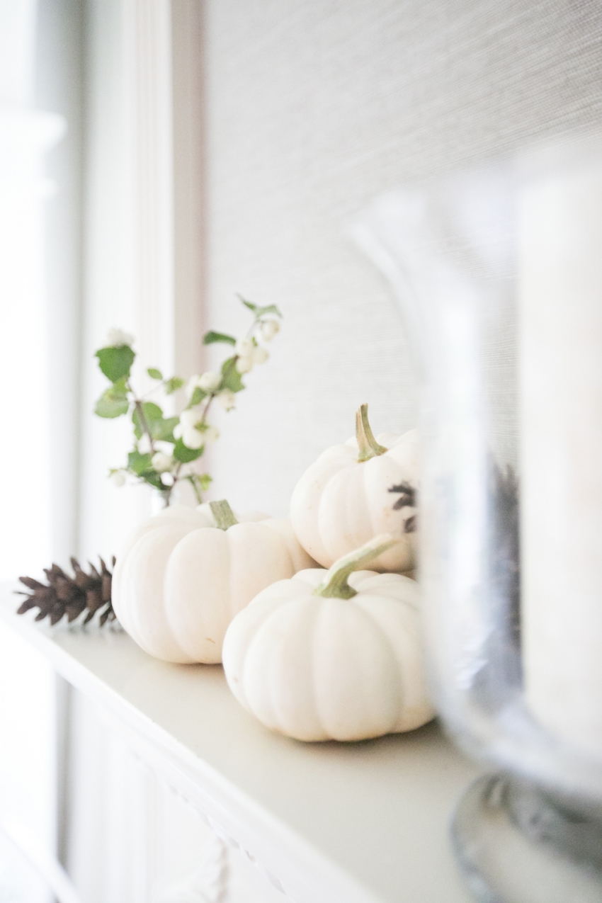 Beautiful white pumpkins for Fall by Fashionable Hostess