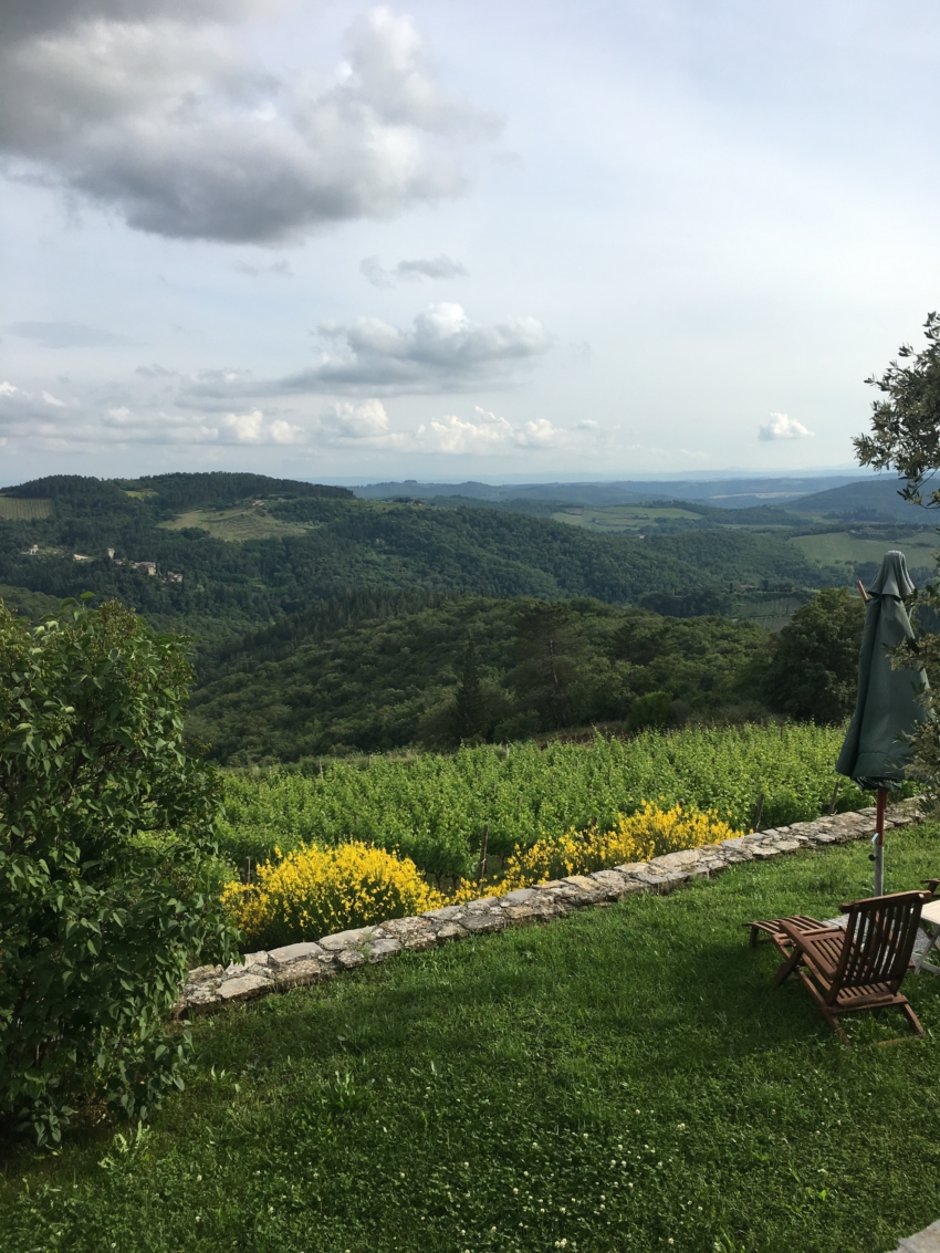 Views of Tuscany vineyards by Fashionable Hostess