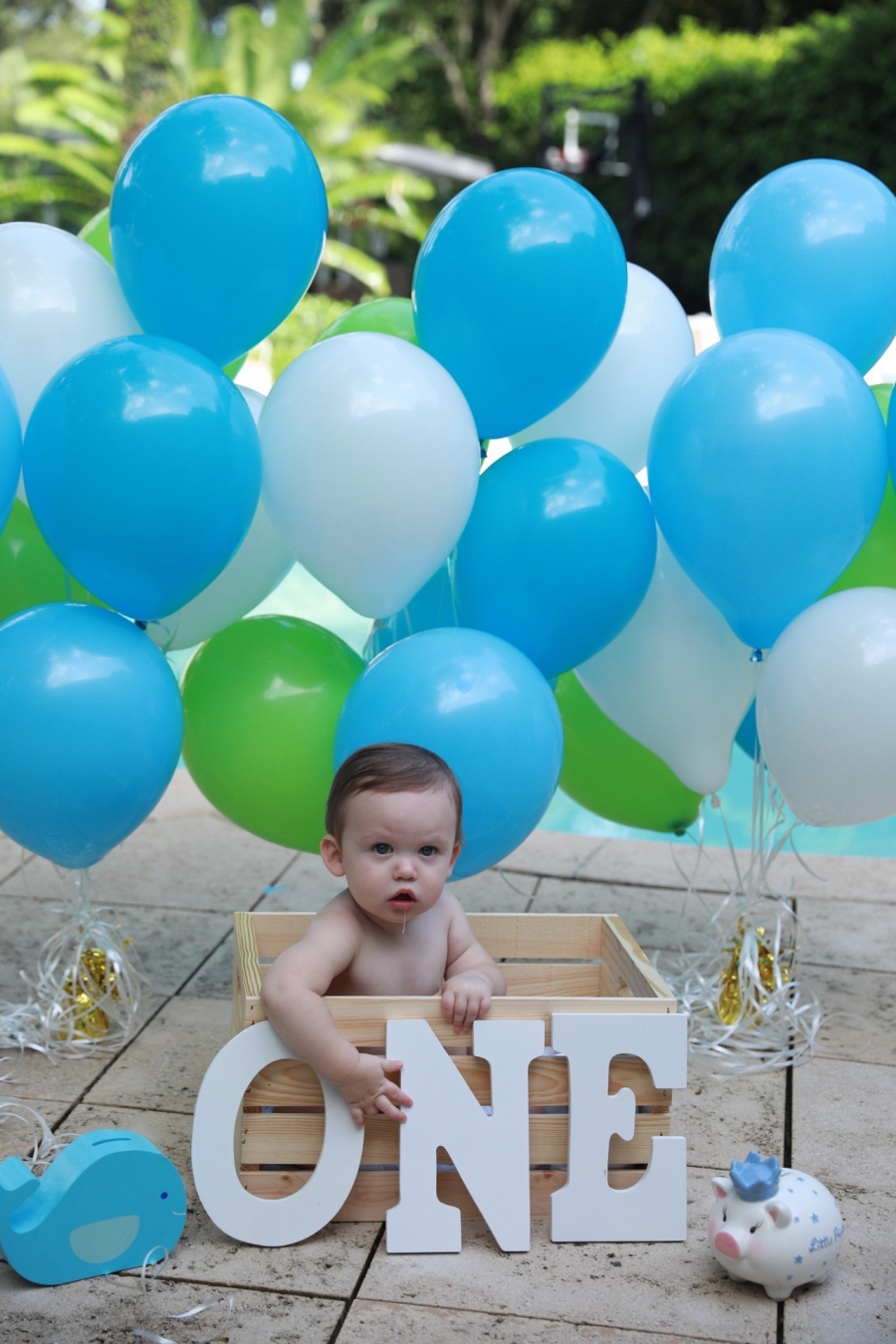 Dane s DIY 1st Birthday Photo Shoot Fashionable Hostess